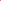 Women Maroon Plain Outer Elastic